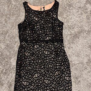 Lapis Size Large - Black Lace Overlay Nude Dress RN 99144